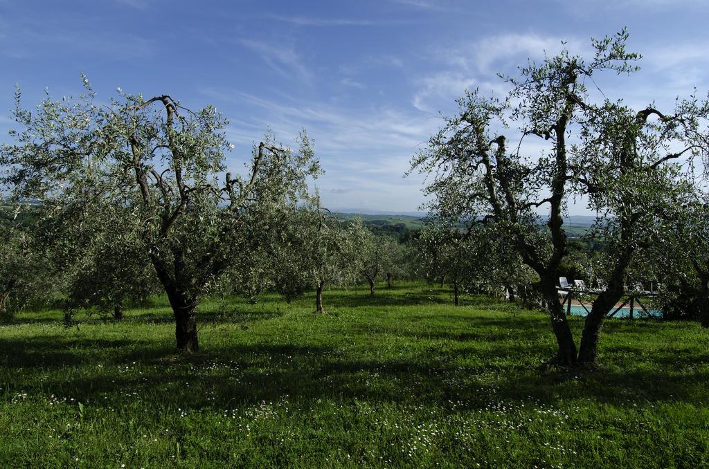 Agriturismo Poggio Bonelli Castelnuovo Berardenga Bagian luar foto