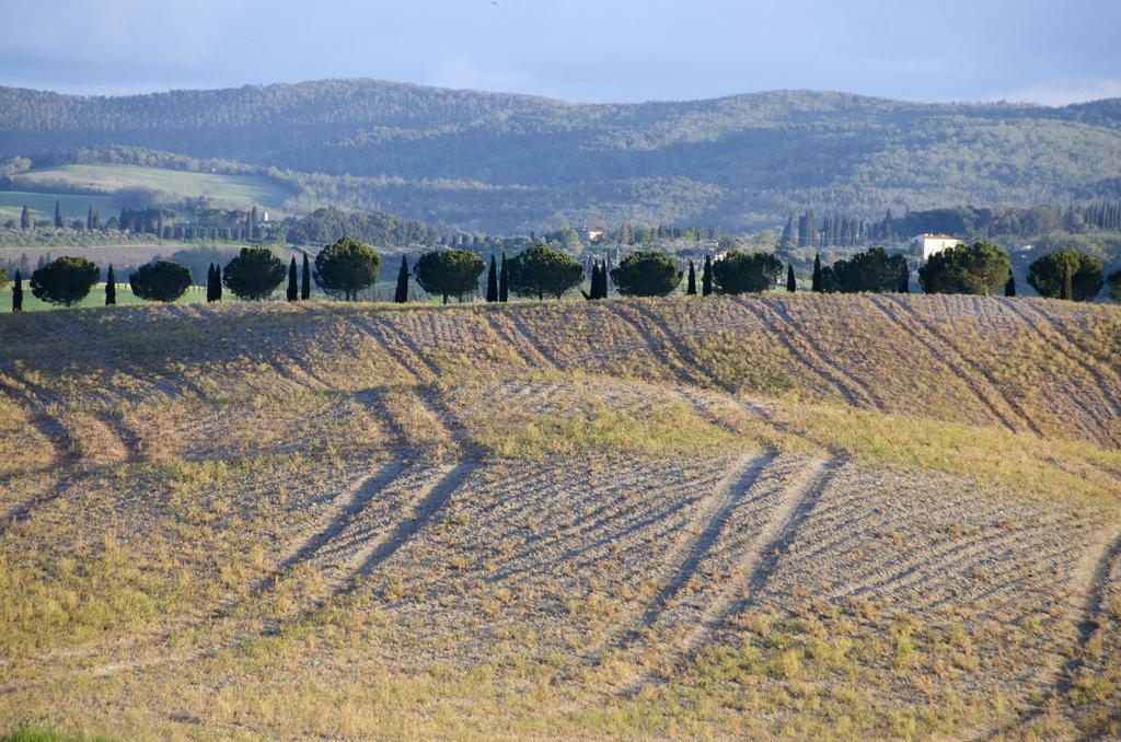 Agriturismo Poggio Bonelli Castelnuovo Berardenga Bagian luar foto